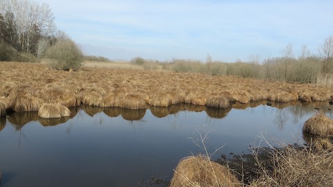 Centro Visita del Parco Naturale del Lago di Candia