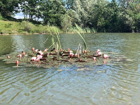 Lago Baroni