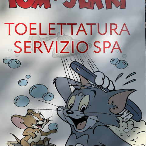 Tom And Jerry Di Salvini Irene