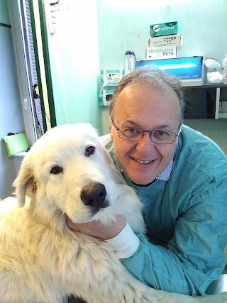 Clinica Veterinaria Salusvet Amalfitano Dr. Raffaele