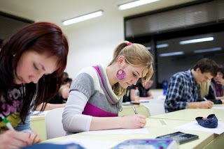 L'Angolo dello Studente