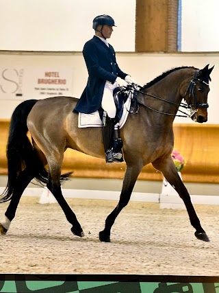 Centro Equestre Bresciano-Dressage-Chiari