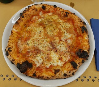 La Gatta Mangiona