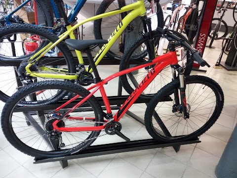 LINEA ORO SPORT SRL