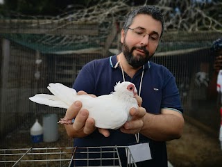 Fattoria degli Animali - Centro di Educazione Ambientale e Zooterapia