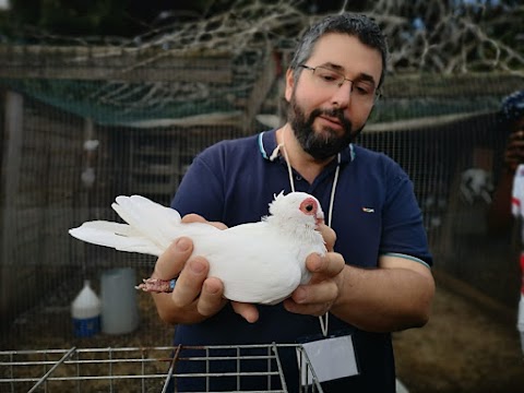 Fattoria degli Animali - Centro di Educazione Ambientale e Zooterapia