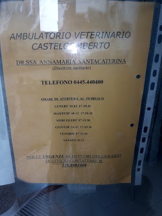 Ambulatorio Veterinario Castelgomberto