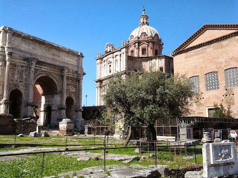 Tours of the Colosseum - Colosseum & Roman Forum & other Guided Tours