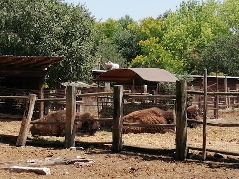 Cowboys' Guest Ranch