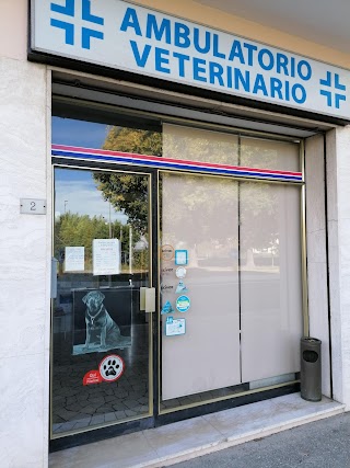 Ambulatorio Veterinario