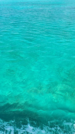 Escursioni in catamarano Salento d'amare