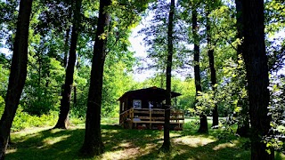 Il Bosco dell'Ochetta