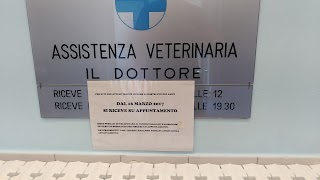 Molteni Dr. Tiziana