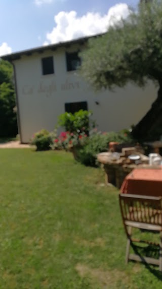 B&B Ca' Degli Ulivi