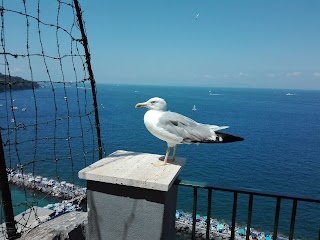 Positano Abbigliamento Sorrento