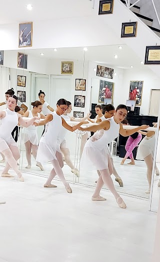 Professional Ballet Academy