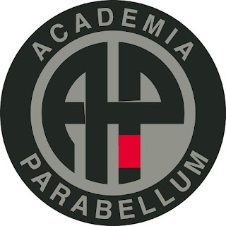 Academia Parabellum BJJ e GRAPPLING