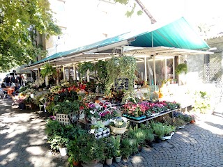 Fiori di città