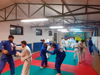 New dimension judo