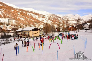 Scuola Nazionale Sci & Snowboard Pragelato