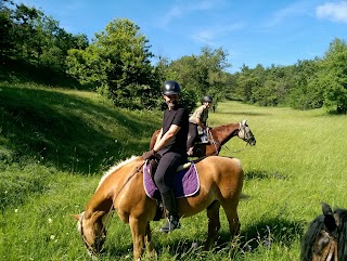 The HORSE Way Riding Centre