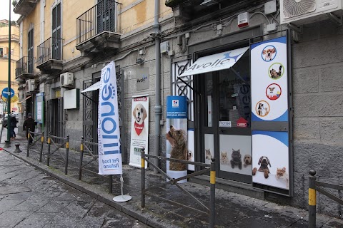 Avolio Pet Shop Ingrosso e Dettaglio Alimenti ed Articoli per Animali