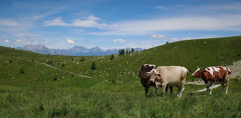 Rifugio Alpini Monte Cimosco