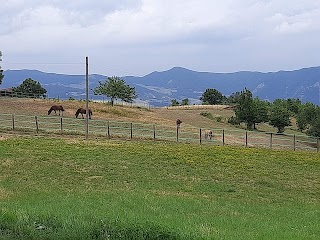 Agriturismo La Torre