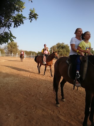 Eldorado Club A.s.d. Escursioni a Cavallo Ragusa