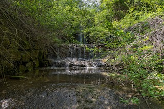 Rio Marano (sentiero CAI Marano / Rocca Pitigliana)