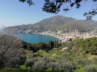 Visit Levanto