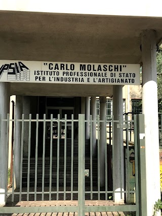 Istituto Professionale di Stato per l'Industria e l'Artigianato Carlo Molaschi