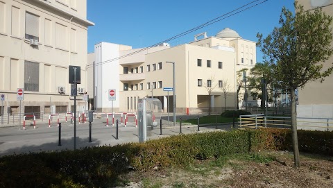 Policlinico di Bari