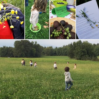 Kasarcobaleno hormè Montessori