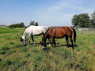 Holden Club - Centro Equestre