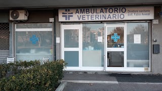 Ambulatorio Veterinario Avanzi