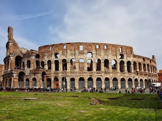 Tours of the Colosseum - Colosseum & Roman Forum & other Guided Tours