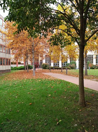 Università Degli Studi Di Verona - Dipartimento Di Cultura e Civiltà