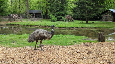 Zoo di Lubiana