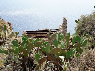 Torre di osservazione