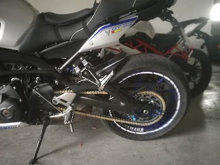 Salini Motoalesatura BS