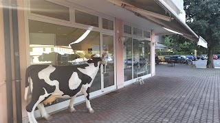 Spaccio di Treviso Caseificio Venturin