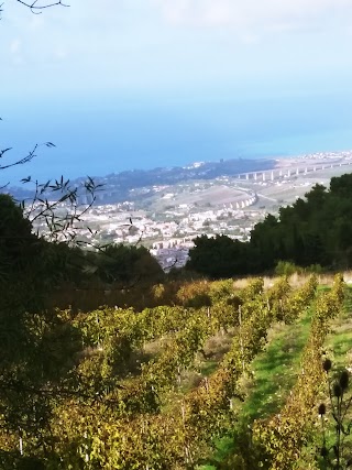 Riserva Naturale Bosco D'Alcamo