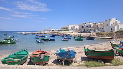 Dream Tour Puglia