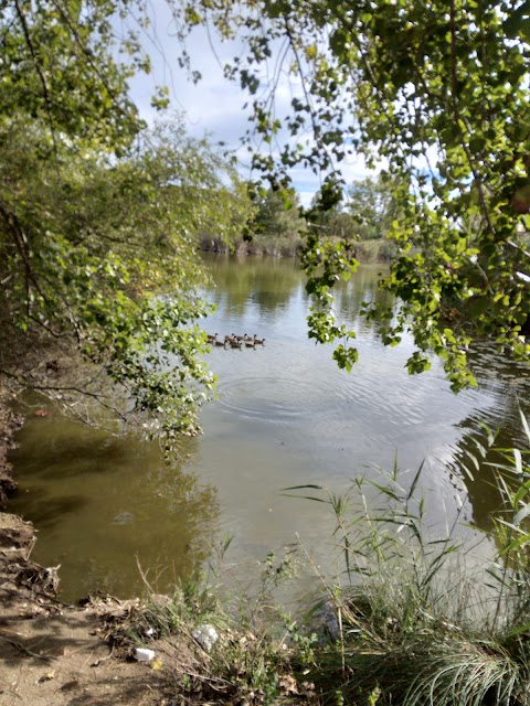 Parco del Canale dello Stagno