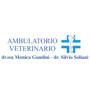 Ambulatorio Veterinario Associato Gandini e Soliani