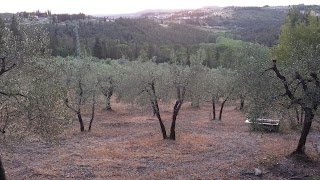 Al Podere Del Viandante