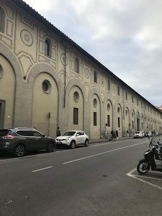 Liceo Classico Michelangiolo