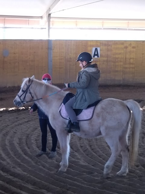 A.s.d. Martù, scuola di equitazione