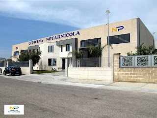 Officina Notarnicola Autorizzata Ford Trucks